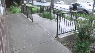 Pea Size Hail Downtown Regina screenshot 2