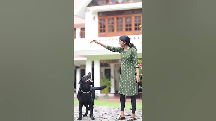 Lechu Uppum mulakum 😍❤ 🐕 with 🖤 dog #flowers #viral