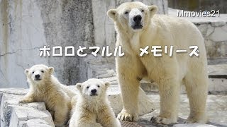 ポロロとマルル メモリーズ　公開から旅立ちまで~Memories of Pororo & Maruru