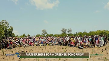 Partnership For a Greener Tomorrow: IberAfrica, FBF, KFS & Community Restore Bonje Mangroves