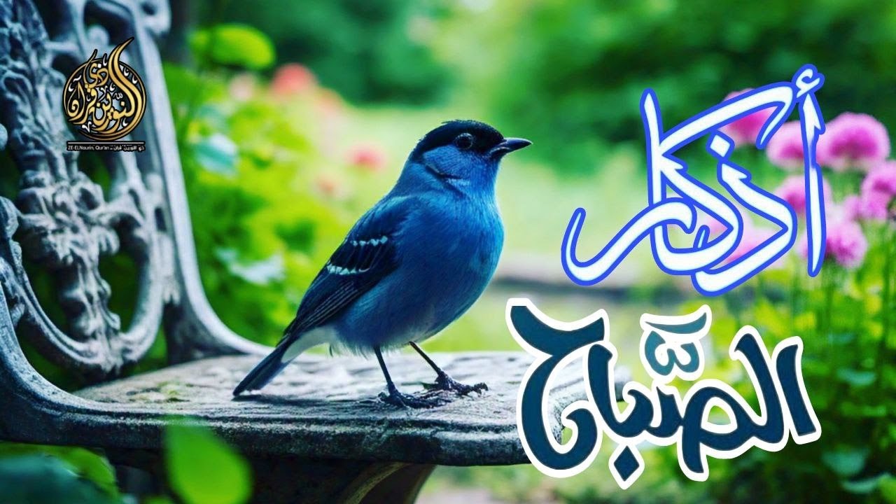 اذكار الصباح بصوت جميل هادئ مريح 💚اذا قلته كفاك الله ورزقك من حيث لاتحتسب القارئ علاء عقل-Dzkir pagj