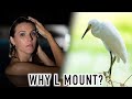 I Recommend the L Mount. This is Why. Featuring Sigma 14mm f/1.4 DG DN Art