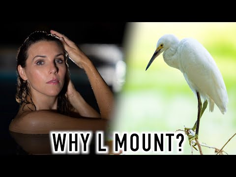 I Recommend the L Mount. This is Why. Featuring Sigma 14mm f/1.4 DG DN Art