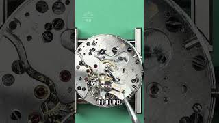 Thumbnail for Zodiac Chronograph Summary