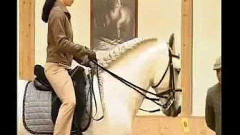 Elegant Dressage Training DVD 1 Englisch by Anja B...