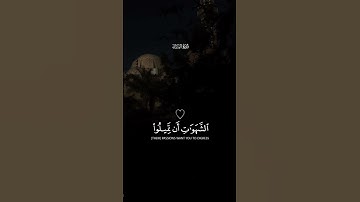 الله يريد ان يتوب عليكم #سورة_النساء القارئ #ياسر_الدوسري