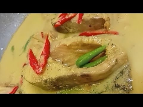 Resep Ikan Opor