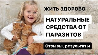 Безопасные средства от паразитов. Эффективные противопаразитарные программы для детей и взрослых.