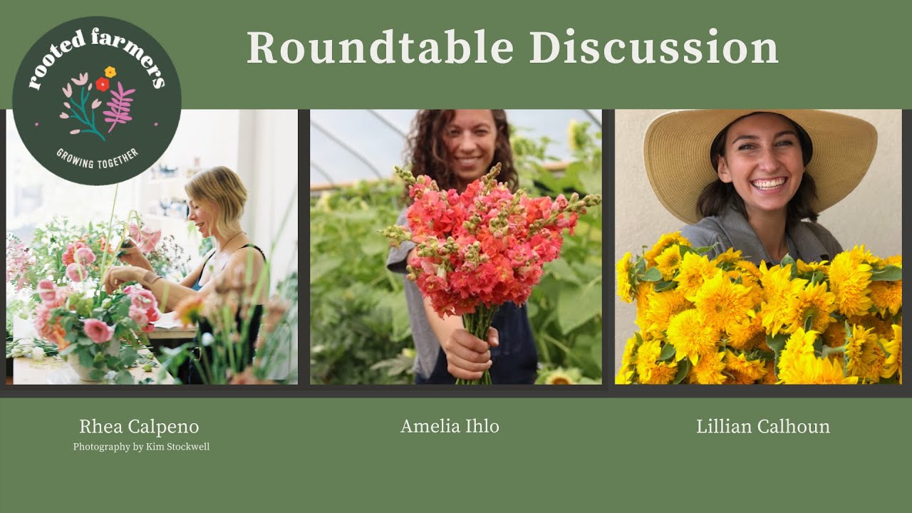 Roundtable Discussion about Rooted Farmers Online Marketplace