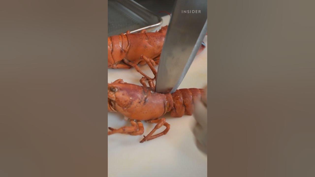 High lobster prices relate to logistics, slow growth, and low meat