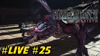 Final Fantasy 7 Rebirth #25