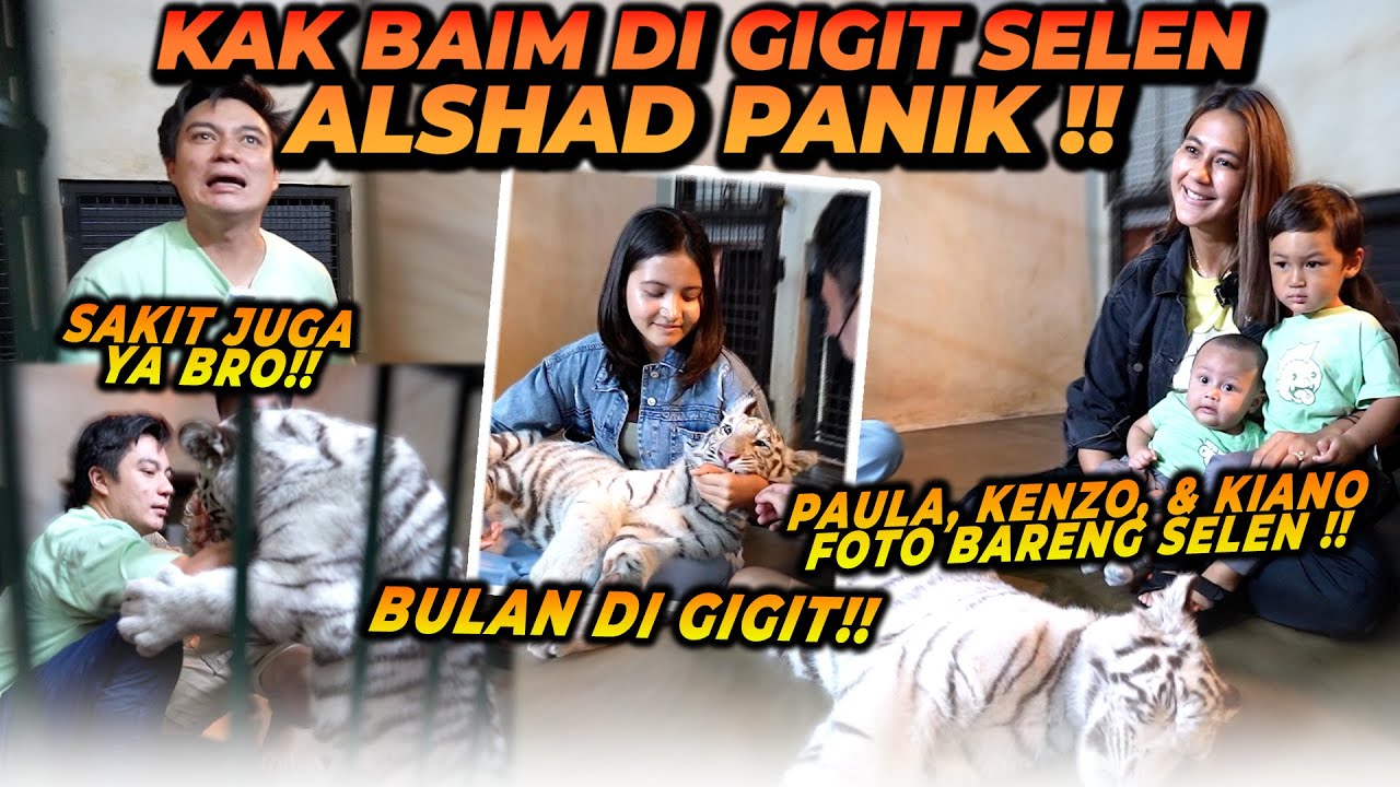 BAIM WONG & BULAN SUTENA KENA G1G1T SELEN ! PAULA, KIANO, KENZO HEBAT BERANI MASUK KE DALEM KANDANG!