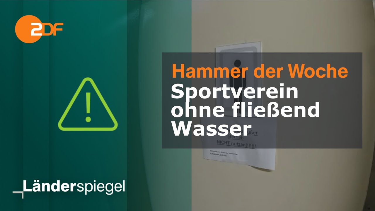 Millionendesaster in Weißenfels | Hammer der Woche vom 09.12.23 | ZDF