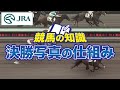 【競馬の知識】決勝写真の仕組み | JRA公式