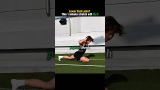 Lower Back Hurting? Do This Now