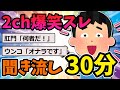 【2ch面白いスレ】電車で閲覧注意！2ch爆笑スレ！聞き流し30分！【作業用BGM】【ゆっくり解説】