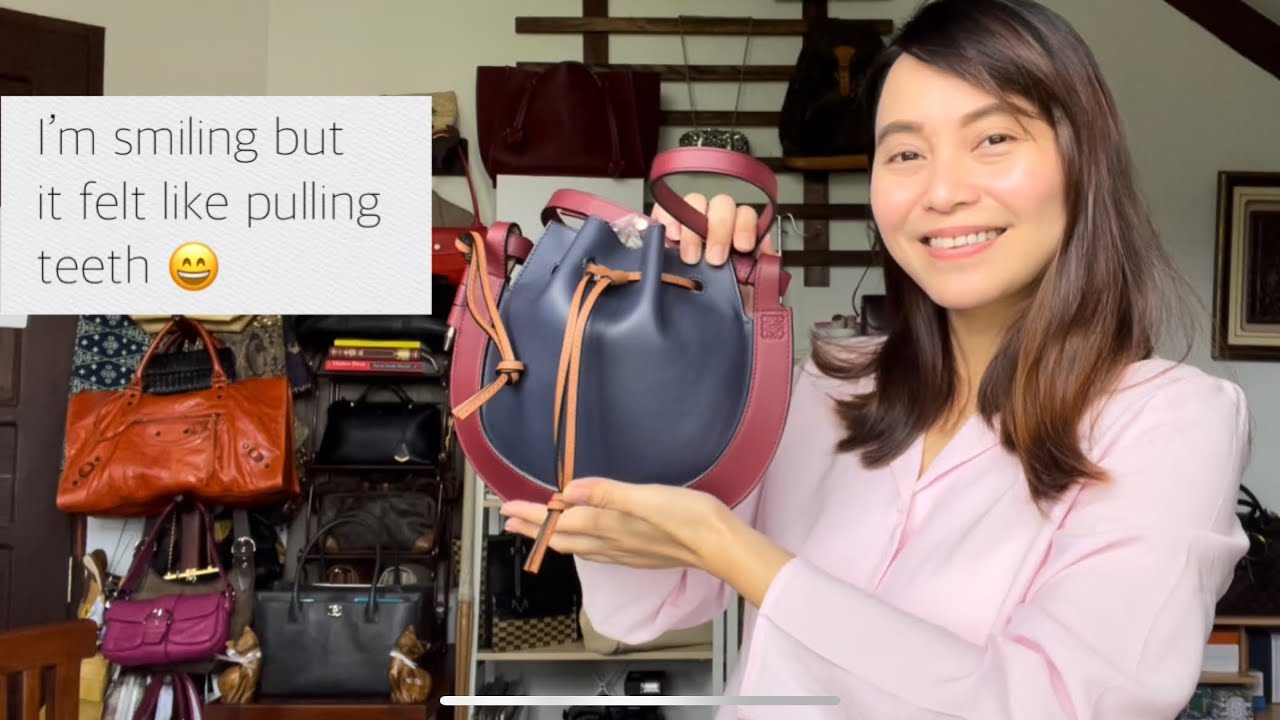 loewe horseshoe bag review