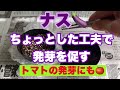 夏野菜種まきスタート【ナス】1番　今年は加温無し　トマトの発芽にも