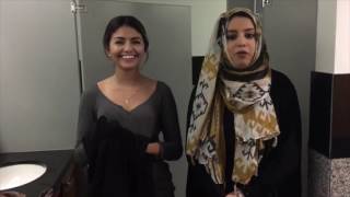 HUM 101-Cultural Project