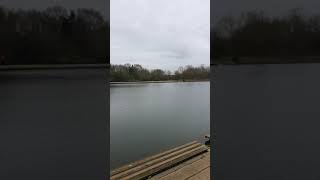 Gundog Training - long memory retrieve