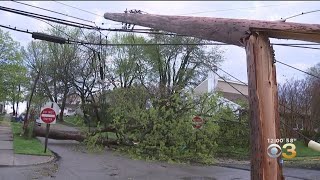 Residents Cleaning Up After Powerful Storm Brings Down Trees, Power Lines