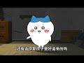 小八版回答我 最近總是有人嘲諷小八#ちいかわ #吉伊卡哇 #chiikawa | LMP #小八 #乌萨奇 #小明剑魔