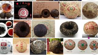 보이차 용주와 미니타차의 차이점?