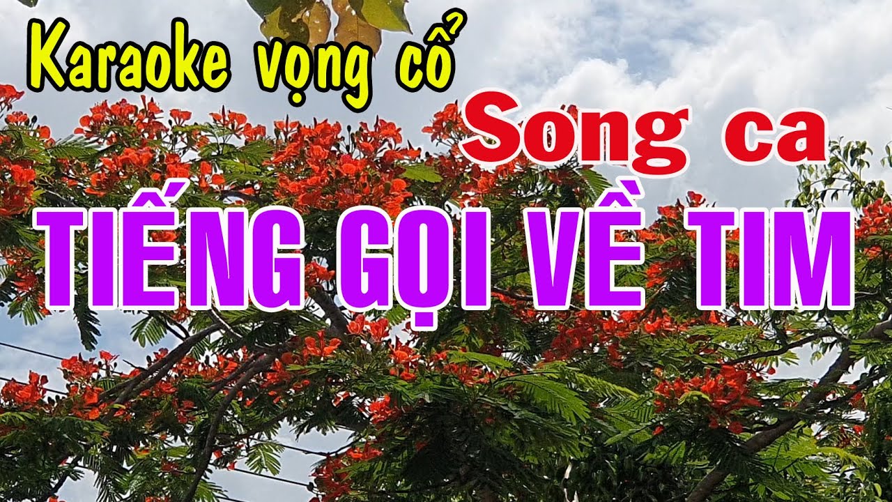 Karaoke vọng cổ TIẾNG GỌI VỀ TIM - SONG CA [T/g Hải Đăng] - YouTube
