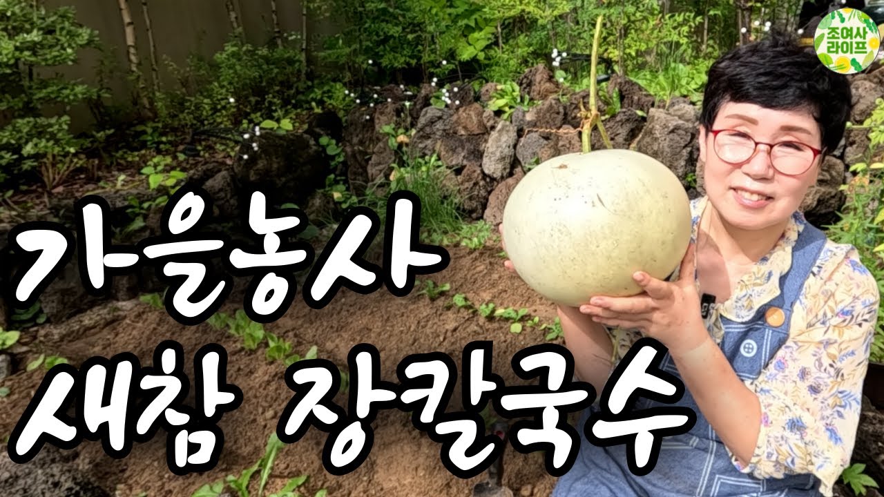 🌾조여사 가을농사 짓고, 새참으로 장칼국수🍜 흥부 박도 수확했어요~ - YouTube