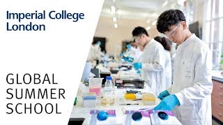 What Is The Imperial Global Summer School?