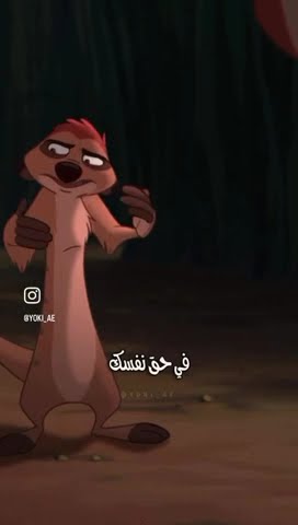 تيمون و بومبا - YouTube