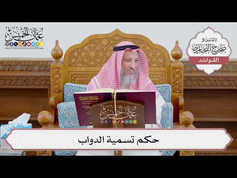 [1149] حكم تسمية الدواب - عثمان الخميس