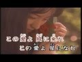 この愛よ 星になれ 松本美智子 作詩:原文彦 作曲:三好和幸