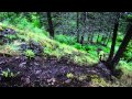 Shifted - A New Mountain Bike Film