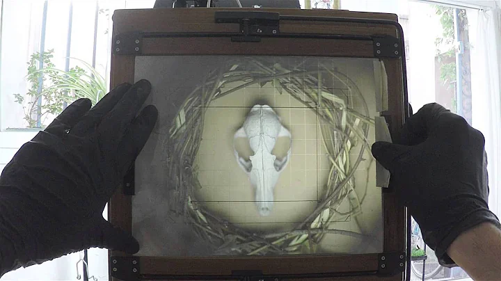 Free Fresnel lens on 8x10 chamonix