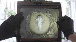 Free Fresnel lens on 8x10 chamonix screenshot 3