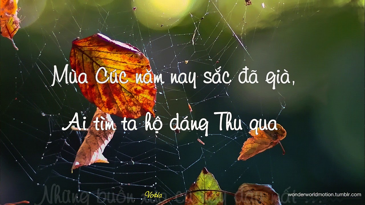 Bài giảng Ngữ văn khối 11 - Tiết: Vội vàng