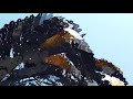 Swarm Statue. Dji Osmo Pocket Footage