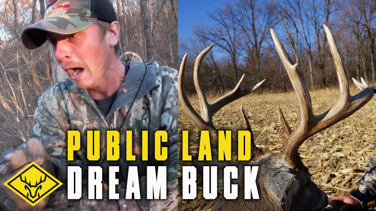 Public Land Dream Buck | DIY Pope and Young SUCCESS!