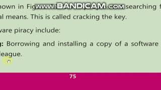 class 9 computer, Ch#4 Topic : software piracy