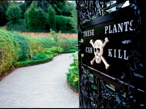 😨 Most dangerous garden in the world | Poison Garden Alnwick Castle in England | THE POISON GARDEN