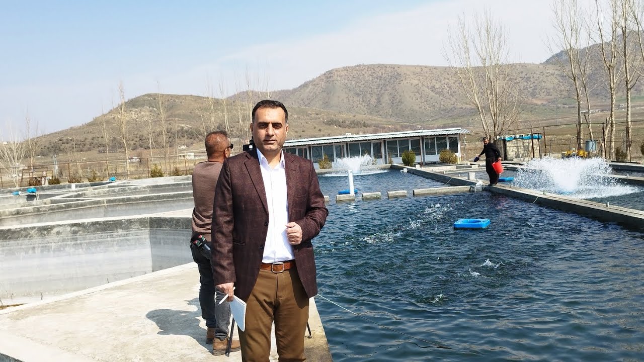 پڕۆژەی حەوزی ماسی سەلەمۆن