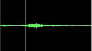 Demonic EVP. #1