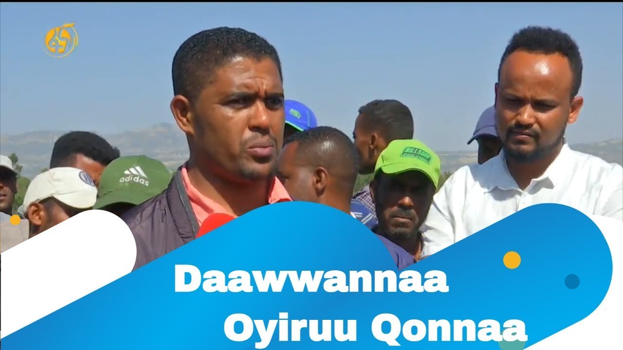 Daawwannaa Oyiruu Qonnaa Youtube