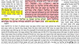 בכורות כד 24 שבת ו׳ אייר תשע״ט Daf yomi Bechoros daf 24 מסכת בכורות דף כד שמואל נבון Behorot.