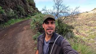 La Palma Weather Update - Sunday, February 23, 2025