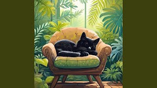 Peaceful Cat Harmony (loopable sequence for the night)