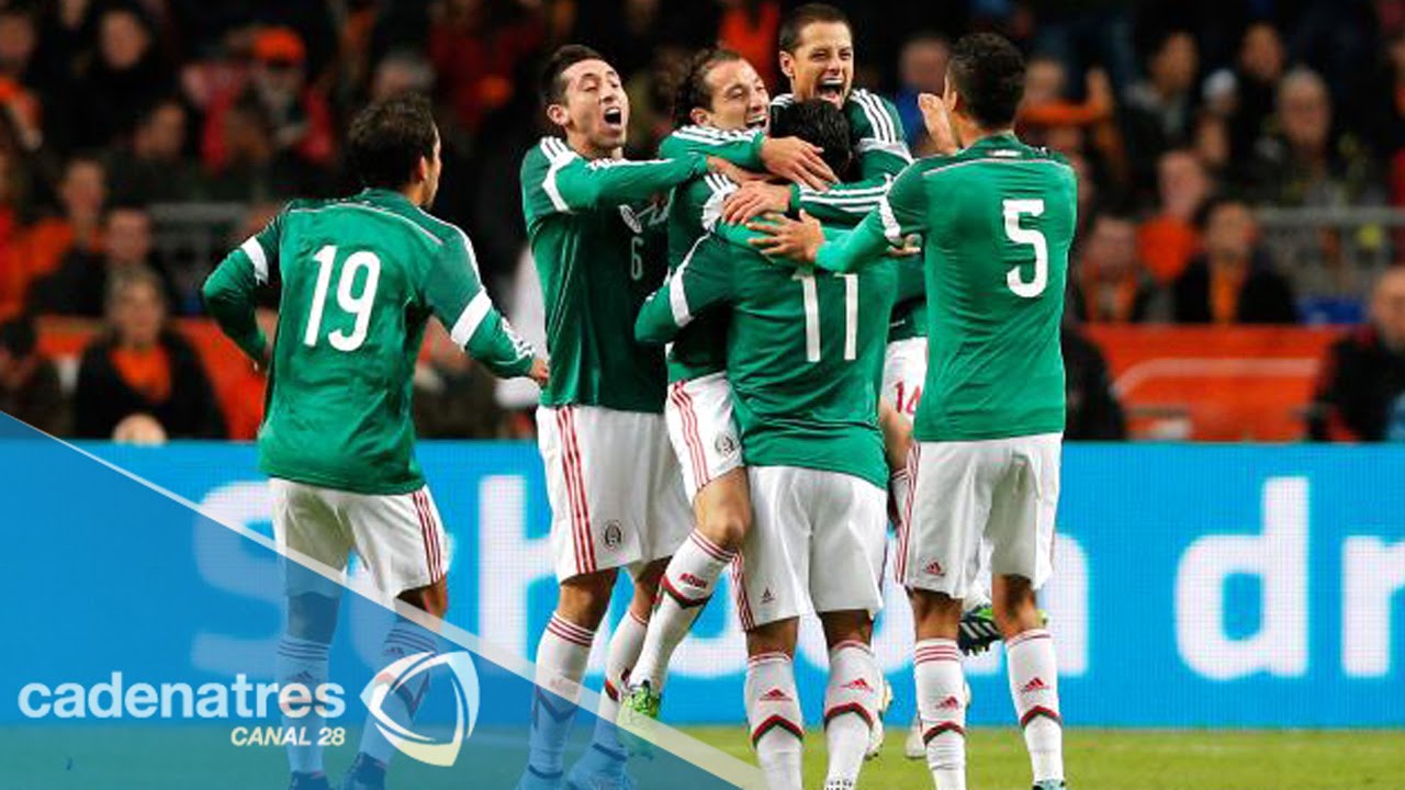 Tema del día: análisis de la convocatoria de México para la Copa América 2015 tricolored heron