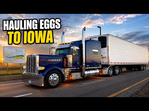 Hauling a Load of Eggs to Iowa Amish Country | Peterbilt 389