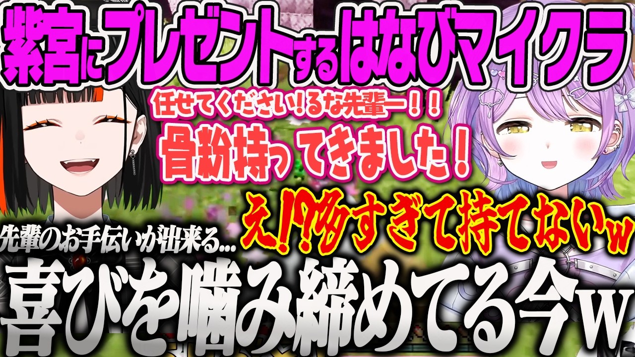 【ぶいすぽ夏祭りマイクラ】先輩の為に一生懸命、骨粉を集めプレゼントする出来すぎた後輩はなびにほっこりするるな先輩w【紫宮るな、蝶屋はなび、夢野あかり、てぇてぇ、ぶいすぽっ!】